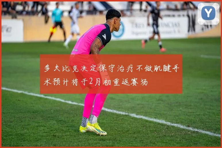 多夫比克决定保守治疗不做肌腱手术预计将于2月初重返赛场
