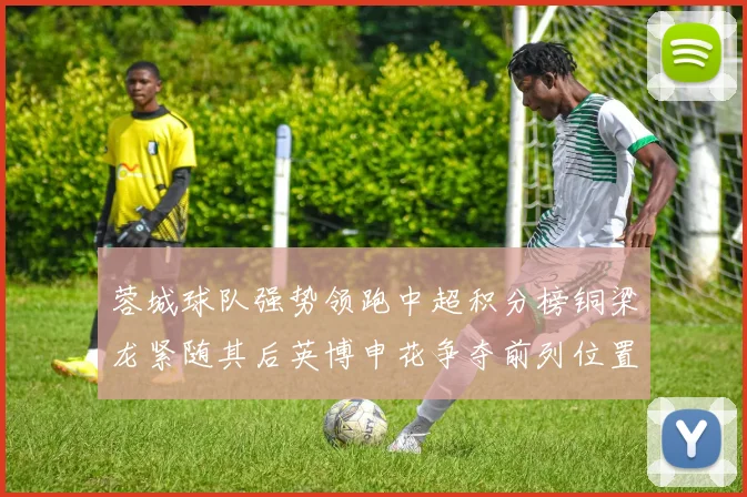 蓉城球队强势领跑中超积分榜铜梁龙紧随其后英博申花争夺前列位置